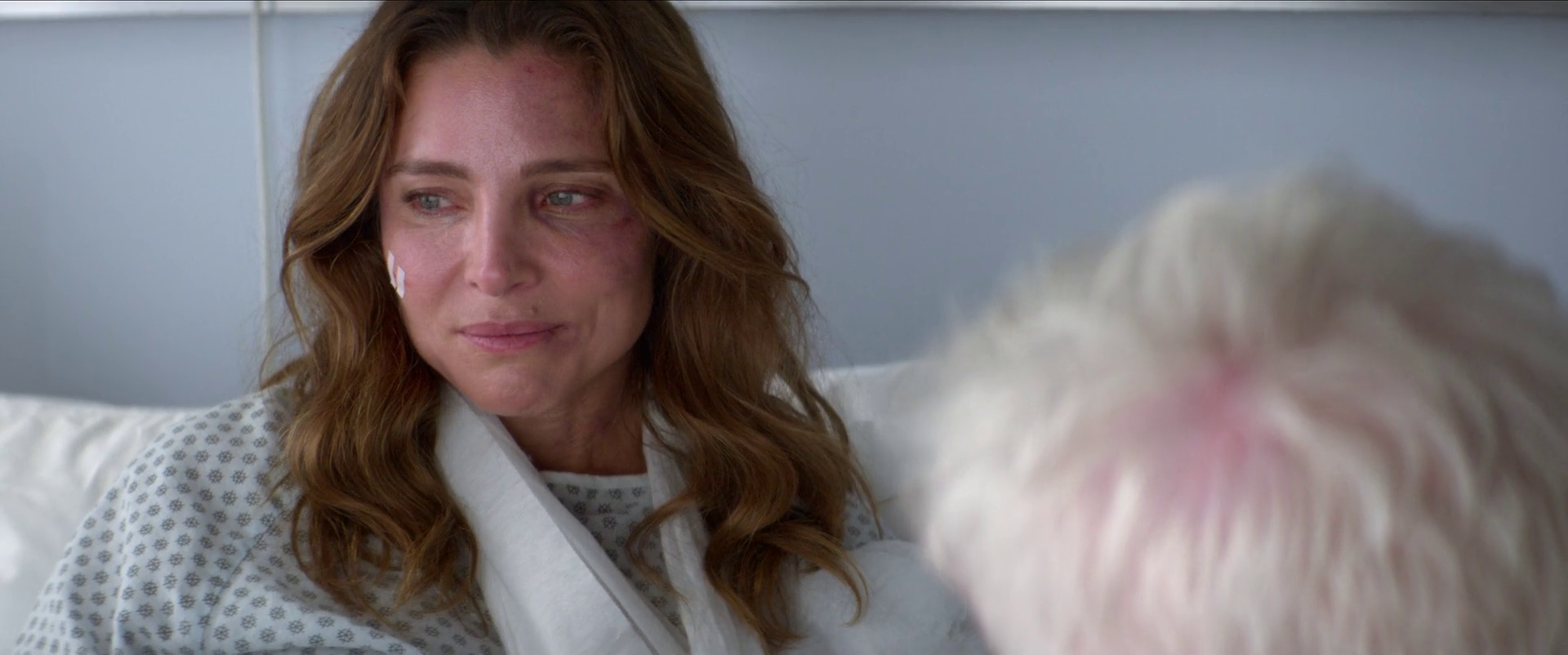EPA1992.PNG